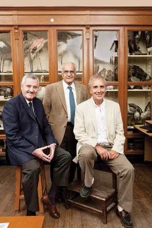 Cuna de científicos. Florín, Stamboulian y Kornblihtt en el gabinete de zoología que vio nacer su vocación