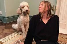 El descuido de María Sharapova junto a su perro