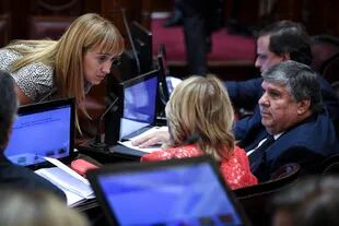 En el oficialismo del Senado impera el silencio hasta que se pronuncie Cristina Kirchner