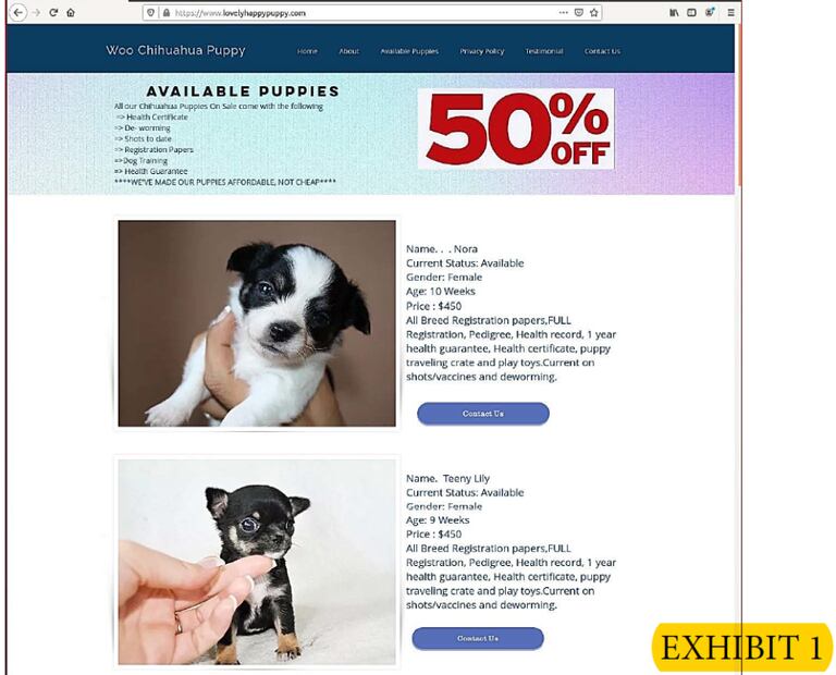 Una captura de uno de los sitios de venta falsa de cachorros