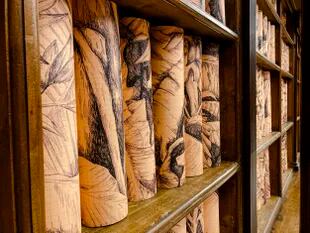 La instalación site-specific del artista visual italiano Pietro Ruffo transformó la Sala Barberini de la Biblioteca Apostólica Vaticana,  famosa por su añeja boiserie, en una selva tropical