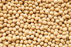 La soja trepó un 5,4% en Chicago porque EE.UU. tendría una cosecha menor a la esperada