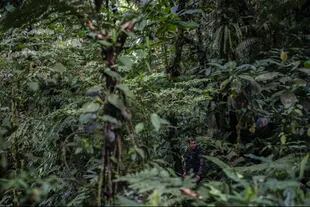 Un combatiente en la selva en la que los disidentes establecieron su nuevo campamento