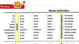 Así se enseña a conjugar verbos en las escuelas argentinas