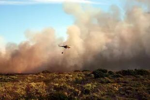 En 2021, el segundo peor año registrado en cuando a incendios, se perdió un área del tamaño de Portugal (Foto ilustrativa: Pixabay)