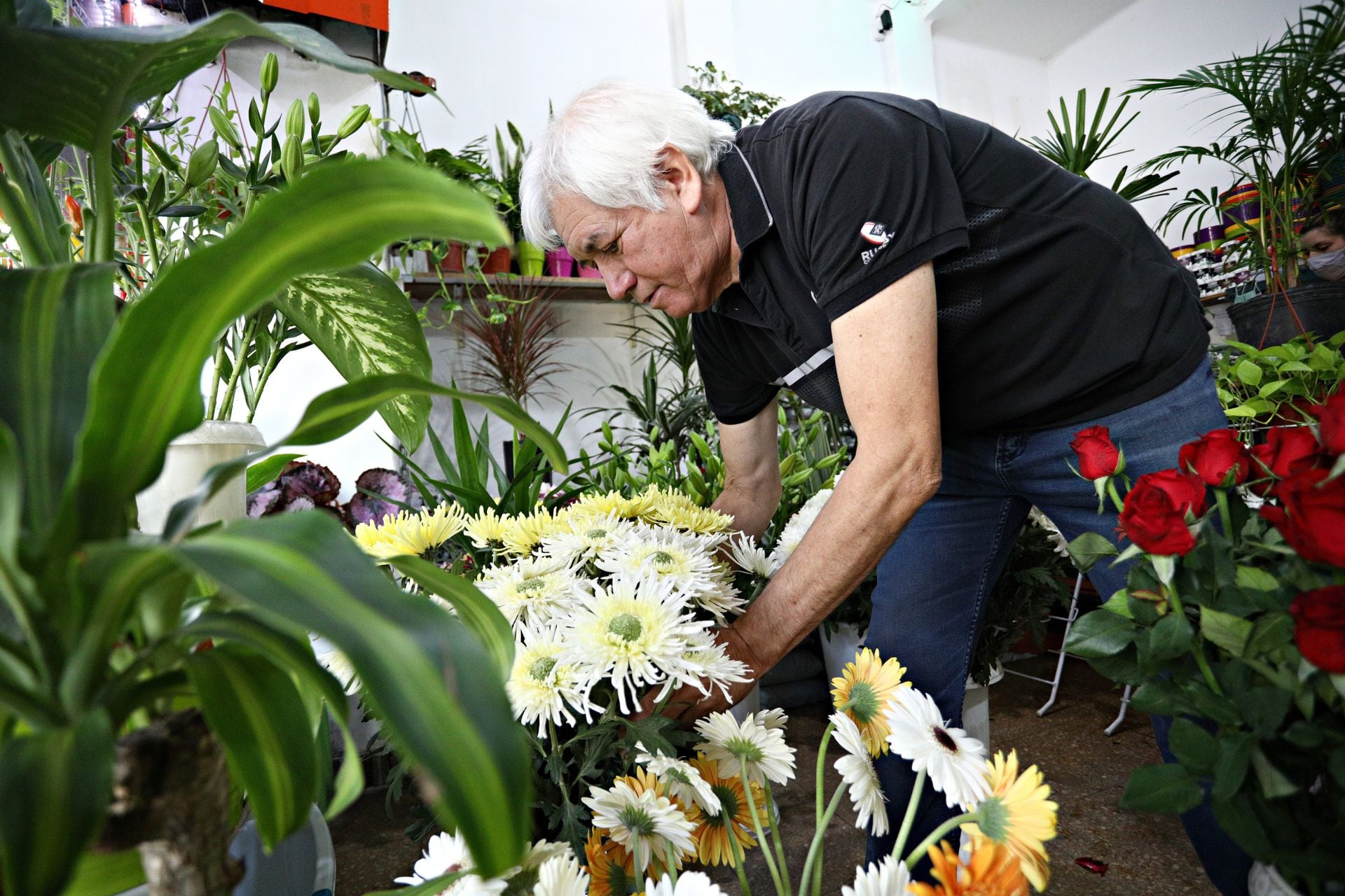 Photos of the Don Oscar flower shop located in Independencia and Chacabuco where his niece Eliana also works.