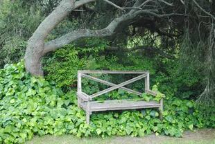 Este banco escondido entre la vegetación es un atractivo punto focal que además invita al descanso