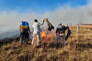 Corrientes: ya se quemaron 518.965 hectáreas y alertan que la situación podría agravarse