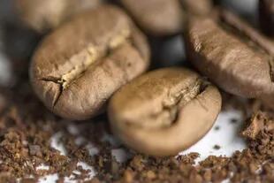 Los granos de café serían ricos en antioxidantes

