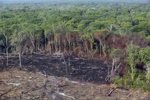 Incendios forestales en el Mato Grosso