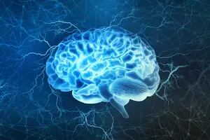 Por qué es importante hablar (en serio) de neuroderechos