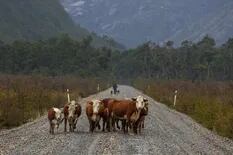 La Carretera Austral, el gran viaje de la Patagonia chilena