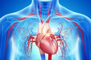 Insuficiencia cardíaca: la definen como la epidemia cardiovascular del siglo XXI