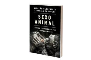 Reseña: Sexo animal, de N. Olszevicki y M. Pandolfi 