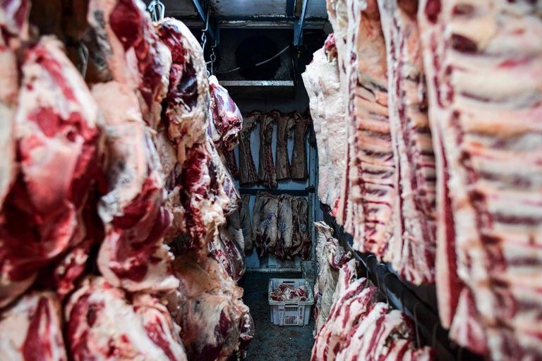 Con tres semanas cumplidas del cierre de exportaciones de carne vacuna y luego de la finalización del paro del campo, los frigoríficos ya terminaron de abastecerse y ahora se encuentran con las cámaras abarrotadas de carne