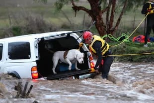 Ein Feuerwehrmann rettet ein Haustier bei starkem Regen