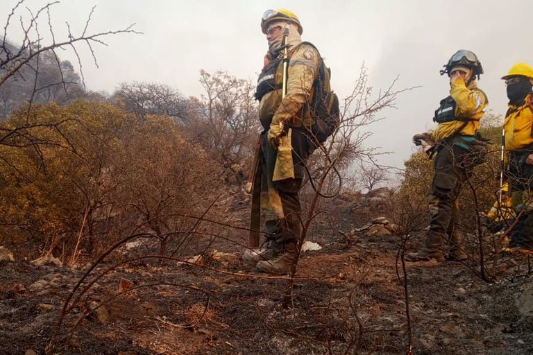 El fuego arrasó en el último mes unas 40.000 hectáreas.