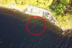 Aseguran que captaron imágenes del monstruo del lago Ness desde un drone