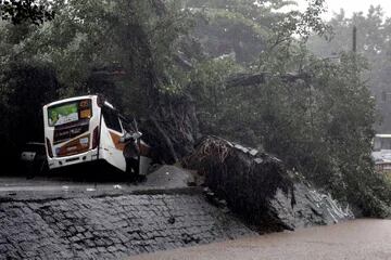 Un autobús se ve debajo de los árboles arrancados por las fuertes lluvias en el barrio de Leblon en Río de Janeiro