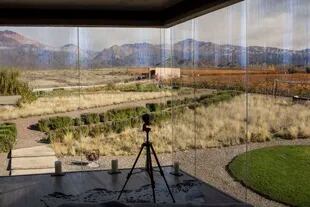 Las Villas ofrecen una vista 360°: a los viñedos, a la laguna y al Cordón del Plata.
