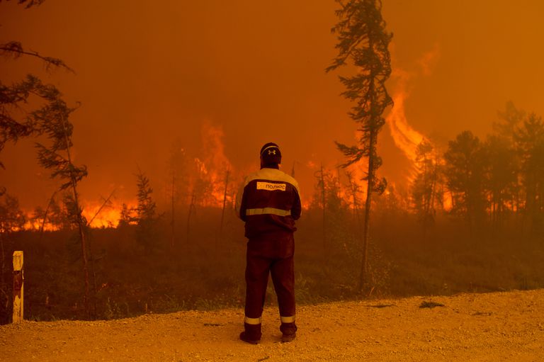 Siberia en llamas: el incendio que es más grande que todos los del resto del mundo combinados - LA NACION