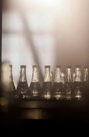 Botellas en la fábrica de agua Salus.