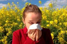 La alergia es considerada la epidemia no infecciosa del siglo XXI