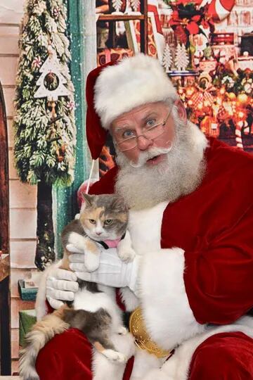 Llevó a su gata a saludar a Papá Noel y su reacción la inspiró para ayudar a otros animales