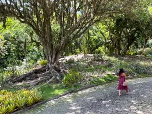 En 1985, nueve años antes de su muerte, donó su casa y jardines al estado, deseoso de que el visitante pudiese ver “el país fabuloso que es Brasil", por lo menos desde el punto de vista botánico