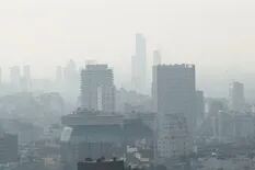 Otra vez el humo proveniente de los incendios en el Delta del Paraná afecta a Buenos Aires