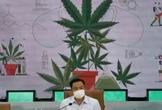 El gobierno de Tailandia distribuirá un millón de plantas de marihuana gratis
