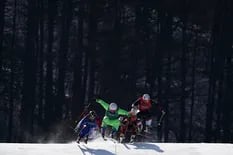 [En fotos] El skicross, el deporte más espectacular de Pyeongchang 2018