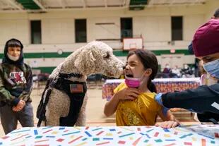 Leanna Arcila, de 7 años, recibe un lengüetazo de Watson, un perro de terapia en el Departamento de Policía de Pawtucket