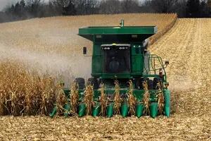 Estados Unidos y una señal de alerta para el maíz en el mediano plazo