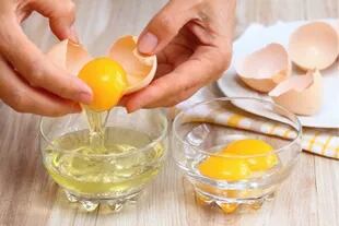 El huevo proporciona una fuente óptima de proteínas, aminoácidos de cadena ramificada y una variedad de vitaminas esenciales y minerales