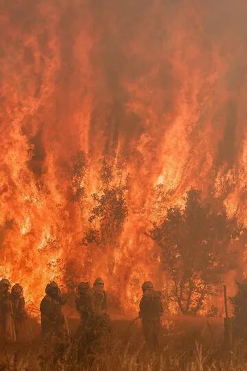 Zamora fue una de las zonas más afectadas por los feroces incendios