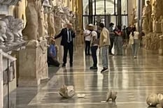 Un turista pidió ver al Papa, le dijeron que no y tiró al piso dos bustos de mármol