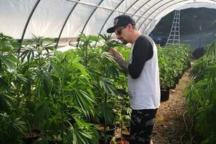 Especial Cannabis: Mariano Duque, el MVP de los breeders