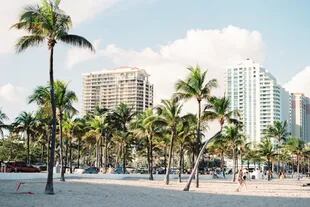 Miami, Florida, es una ciudad con muchos atractivos, en donde el clima soleado predomina casi todo el año