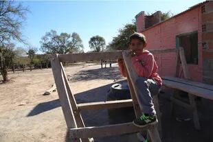 Emiliano sabe manejar la zorra (carro tirado por un burro) con la que busca agua y junta leña.