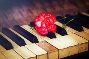 La flor roja sobre el piano, cada vez que a Don Osvaldo no lo dejaba tocar por sus ideas políticas