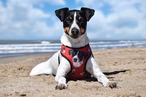 Freddie y una coincidencia que le cambió la vida