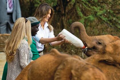 En el David Sheldrick Wildlife Trust de Nairobi se animó a darles de comer a elefantes huérfanos.