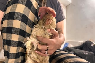 Estaba inmóvil cuando la encontraron, la descartaron de la industria: “Las esperanzas eran pocas”