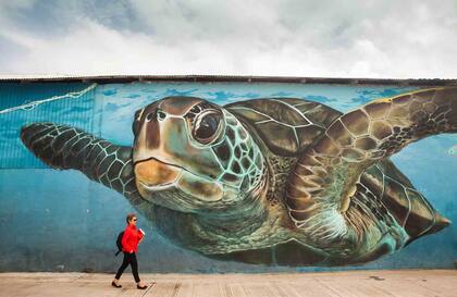 Mural de una de las cuatro especies de tortugas marinas que aloja la isla.