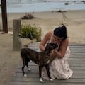 De vacaciones, se cruzó con una perra y quiso ayudarla pero cuando la fue a buscar ya no estaba
