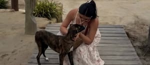 De vacaciones, se cruzó con una perra y quiso ayudarla pero cuando la fue a buscar ya no estaba