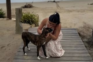 De vacaciones, se cruzó con una perra y quiso ayudarla pero cuando la fue a buscar ya no estaba