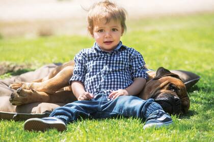 Santino posa con Inca, el bullmastiff de 9 años de su papá.