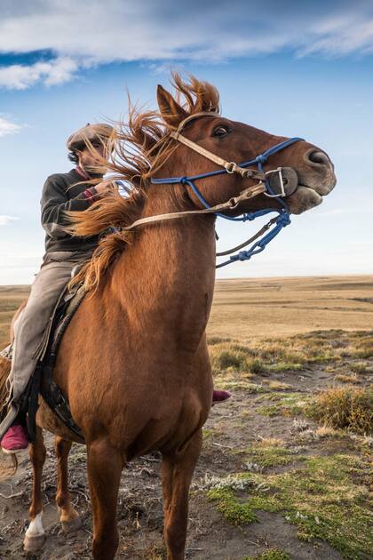 A caballo por la estancia Monte Dinero.